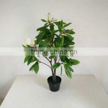Factory Direct Sale Ornamental Fake Magnolia Flower Tree photo-6