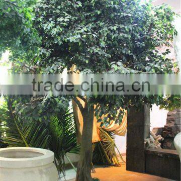 Home Garden Decoration 100cm to 1000cm Height Artificial Indoor Live Plastic Ficus Red With Green Big Palm Tree EZLS05 1016 photo-2