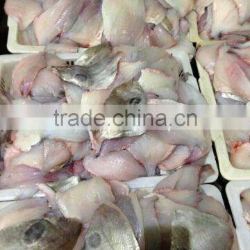 Frozen John Dory Fillet photo-5