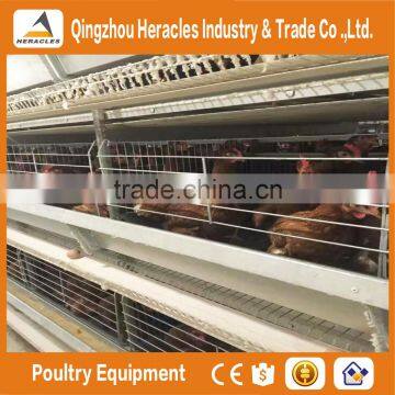 Heracles Automatic Chicken Poultry Farm Layer Cages for Sale in Zimbabwe photo-6