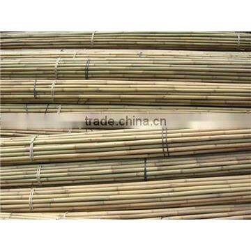 Dry Bamboo Pole