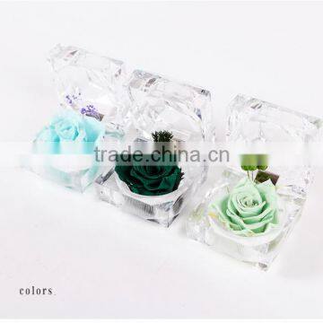 Hot Sale Natural Preserved Fresh Rose Flowers Multicolored Preserved Flower For Wedding Christmas Gift photo-4