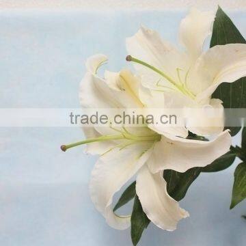 Popular Wholesale Fresh Flowers From China Lilium Lily Flower With Long Stem