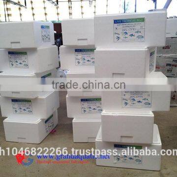 Ornamental Fish Breeder photo-5