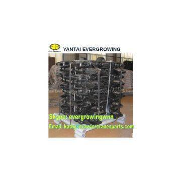 Track Shoe for MANITOWOC M250 Crawler Crane