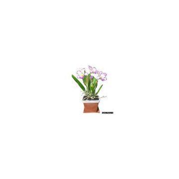 Artificial Clay Flower Real Size Orchids