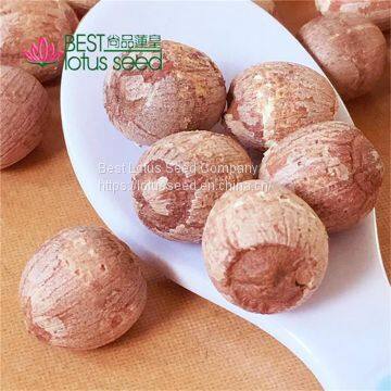 Lotus Seed Lotus Nut Lotus Kernel Dried Red Lotus Seed Brown Lotus Seed with Core Plumule