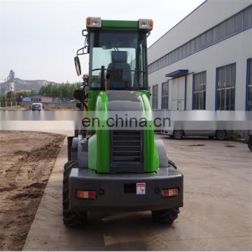 1.0ton Skidsteer Loader with Snow Blade