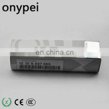 12120037663 LZFR6AP11GS Wholesale of Electric Engine Car Spark Plug Parts