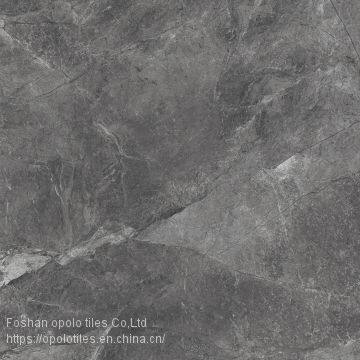 Fullbody Tiles / Glazed Tiles 800X800 photo-2