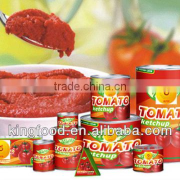 Canned tomato paste in sauce buy tomato sauce