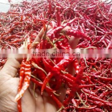 Chilli Whole Dried