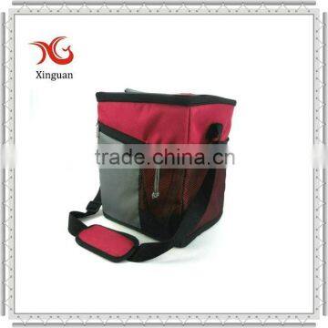 Fashion insulated cooler bag for frozen food