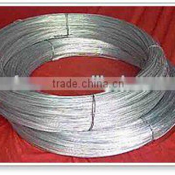 Electro Galvanized wire --China factory