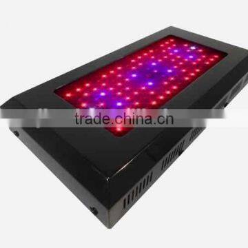 OEM LED grow light JL-G/ZWD-80X3W