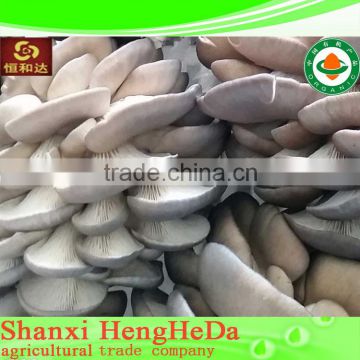 fashion china online shopping dry mushroom