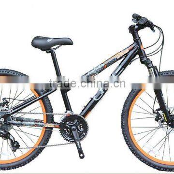 24" mountain bike