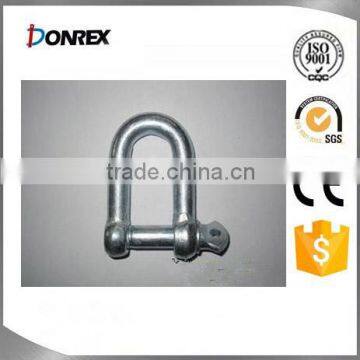 Stainless Steel Dee Shackle for Chain