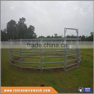 Trade assurance round Oval or square Pipe steel galvanized round pen panels