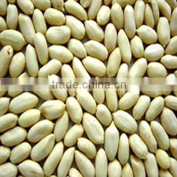 blanched peanut kernels long type