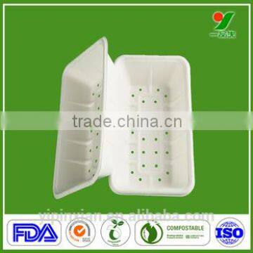 Eco-friendly OEM/ODM disposable paper pulp fruit packaging tray