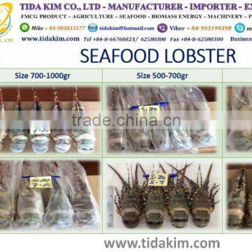 LIVE MUD CRAB TIDA KIM ALIVE - ITOYORI SURIMI FROZEN LOBSTER PANGASIUS FILLET BASA VIETNAM - TAPILA BLACK RED FROZEN SHRIMP photo-5