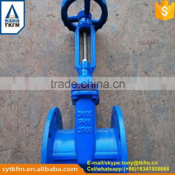 TKFM factory directly sale soft sealing gate valve