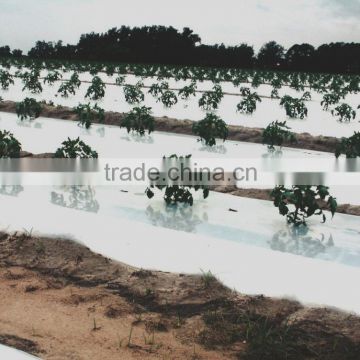 CPP/PE High reflective orchard film for agricultural