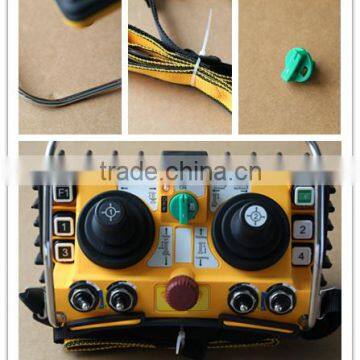 24V/230V/380v chain electric hoist crane wireless remote control 100m