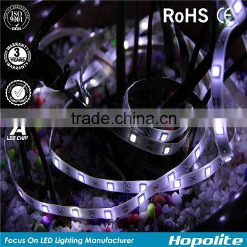 High Brightness IP67 DC12V 5050 Rgb Dream Color 6803 ic Led Smart Strip Jump Chasing Rope Light