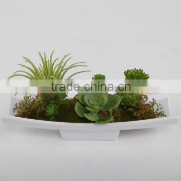 Indoor decoration Hot selling artificial succulent plants