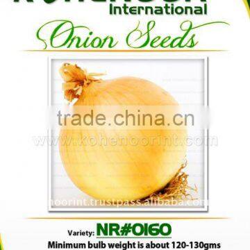 Yellow Onion Seeds | NR#0160