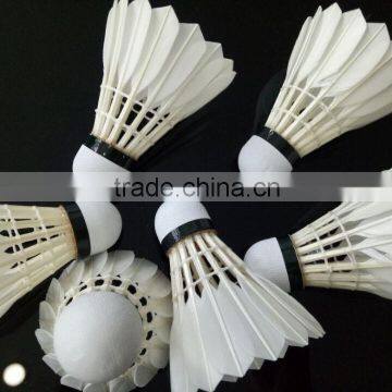 Good Quality Protech Badminton Shuttlecock With Stable Flight and Accurate Speed photo-2