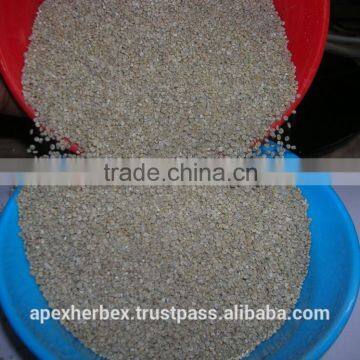 Quinoa / Chenopodium Quinoa / Quinoa Grain /Quinoa Bulk Grain photo-3