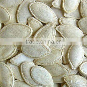 edible shine skin pumpkin seeds