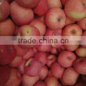Fresh China New Crop of Fuji Apples/cold Room Goods photo-2