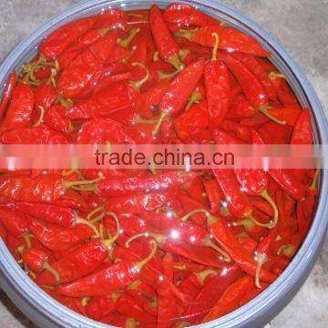 Good Quality Canned Pickled Red Chili Pepper photo-3