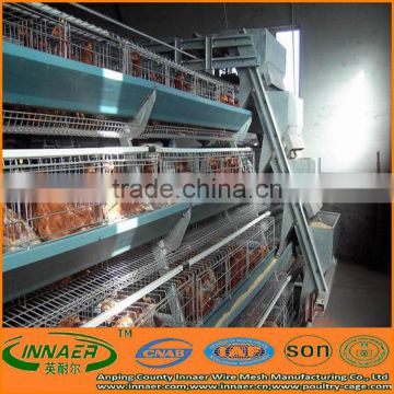 automatic drinking chicken cages for breeders