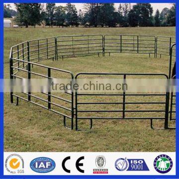 China steel structure building prefabpoultry house horse stables