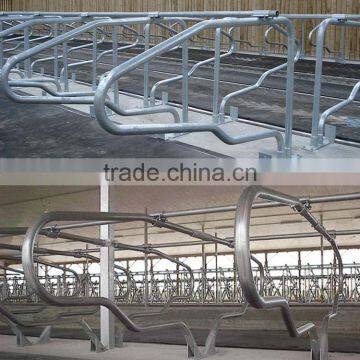 Galvanized cow free stall