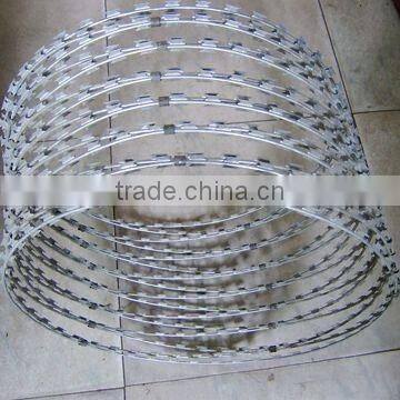 Concertina Razor Wire / Galvanized Concertina Razor Wire / Hight Security Razor Wire Fencing