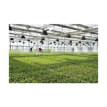 Low Cost Pad and Fan Cooling System Greenhouse Accessories photo-4