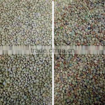 2017 Intelligent Image Double Side Ccd Camera Bean Sorting Machine photo-5
