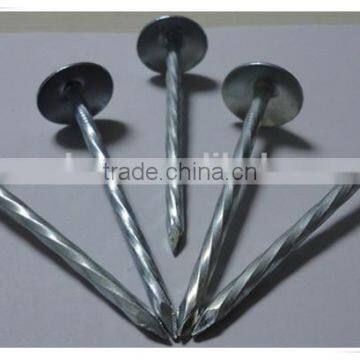 Large Head Roofing Nail China Nail Factory Price From China photo-2