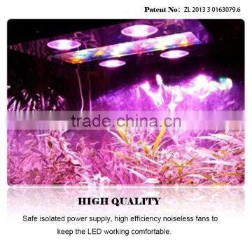 China Noah Patent Product Cob Full Spectrum Led Grow Light for Medical Plants photo-3