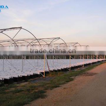 low cost Polyethylene Film greenhouse for vegetables