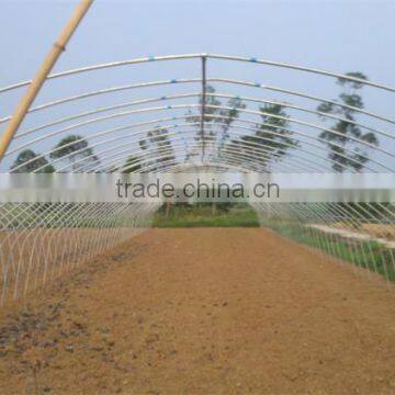 Low Cost Galvanized Steel Frame Greenhouse photo-5