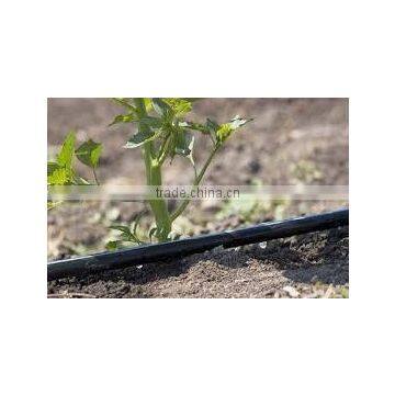 32mm Hdpe Pipe in Roll Price /hdpe Pipe Factory photo-3