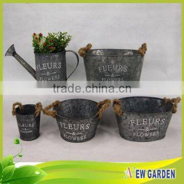 Decorative flower pot / watering can for plant / Different Shapes pot