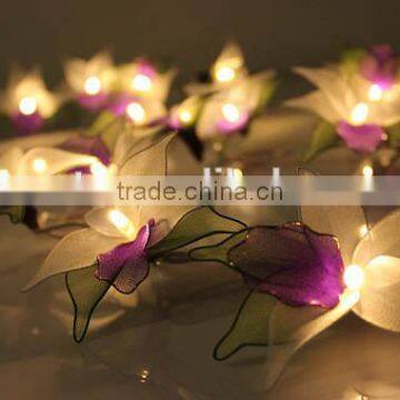 Warm White Operated LED String Lights